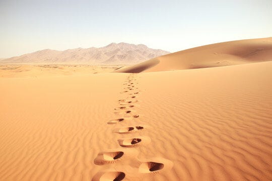 Desert Footprints Images – Browse 58,580 Stock Photos, Vectors, and Video |  Adobe Stock