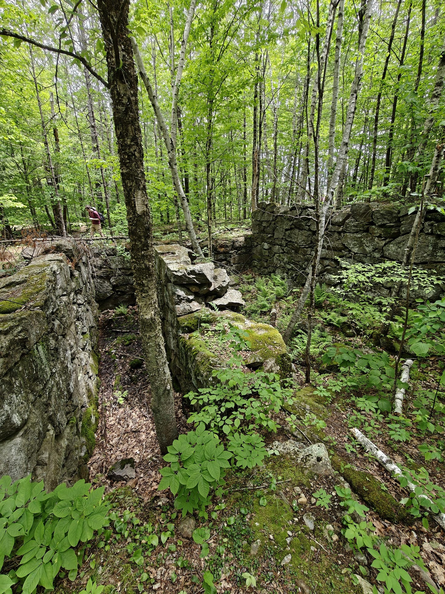 A Trek Along the Cocheco Railroad
