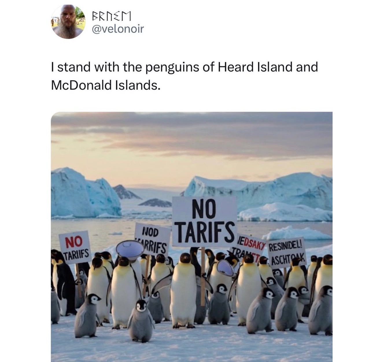 When You Fire Academics, You End Up Taxing Penguins