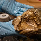 The C-Note | An 'Alien Egg' Mystery Solved (April 27 Edition)