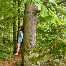 dream the wilderness