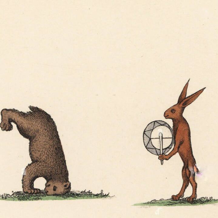 Down The Rabbit Hole