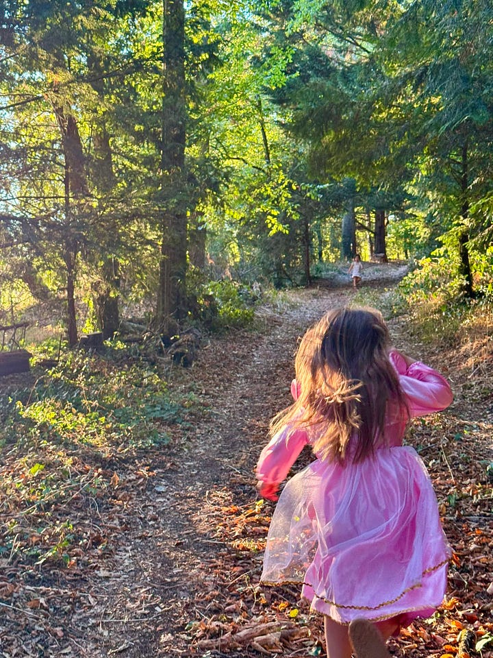 Four photos of the château grounds: a grassy track running along the edge of a sunlit wood, a girl in a pink fairy costume heading up a forest path, a girl in a white fairy dress riding a balance bike down a gravel drive, and a wicker bicycle basket holding two fresh eggs resting on leaves.