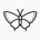 Butterfly outline