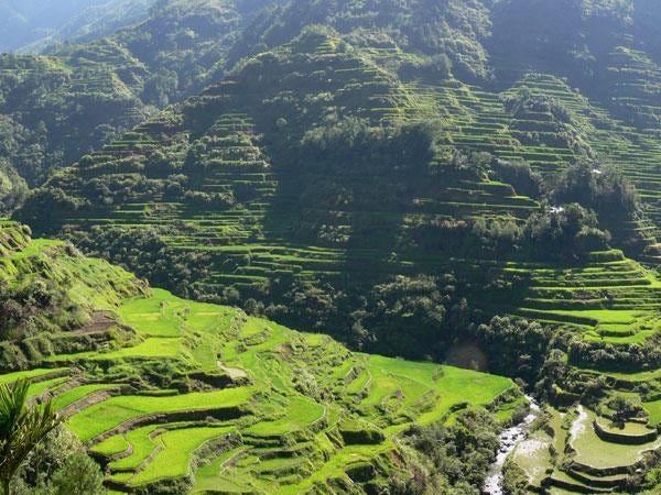 Globe strikes deal to resell Starlink D2C service in the Philippines - Developing Telecoms Globe strikes deal to resell Starlink D2C service in the Philippines - Developing Telecoms