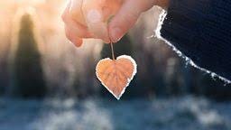 BBC - Why we should all hold on to hope