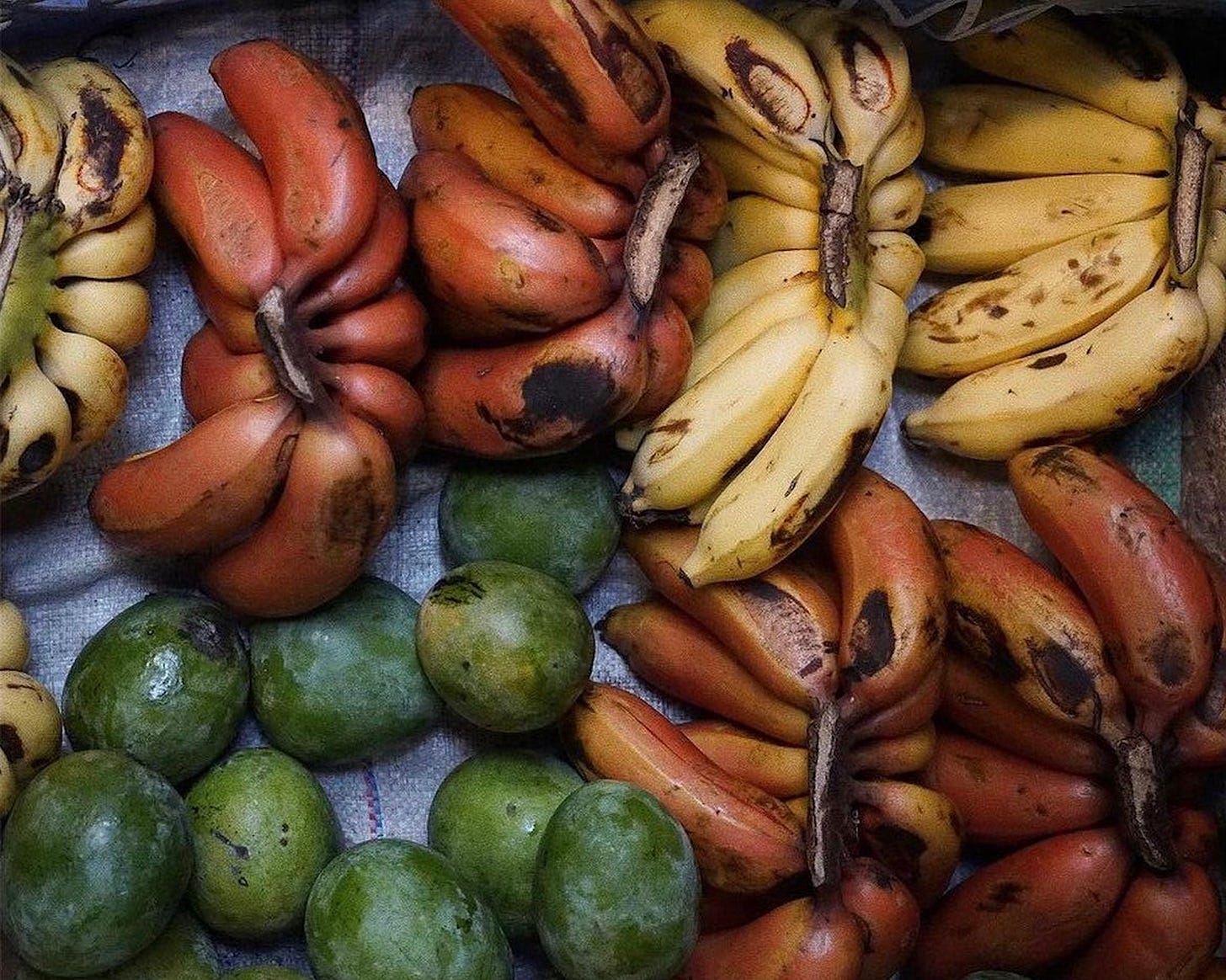 Healthy Food Healthy Food