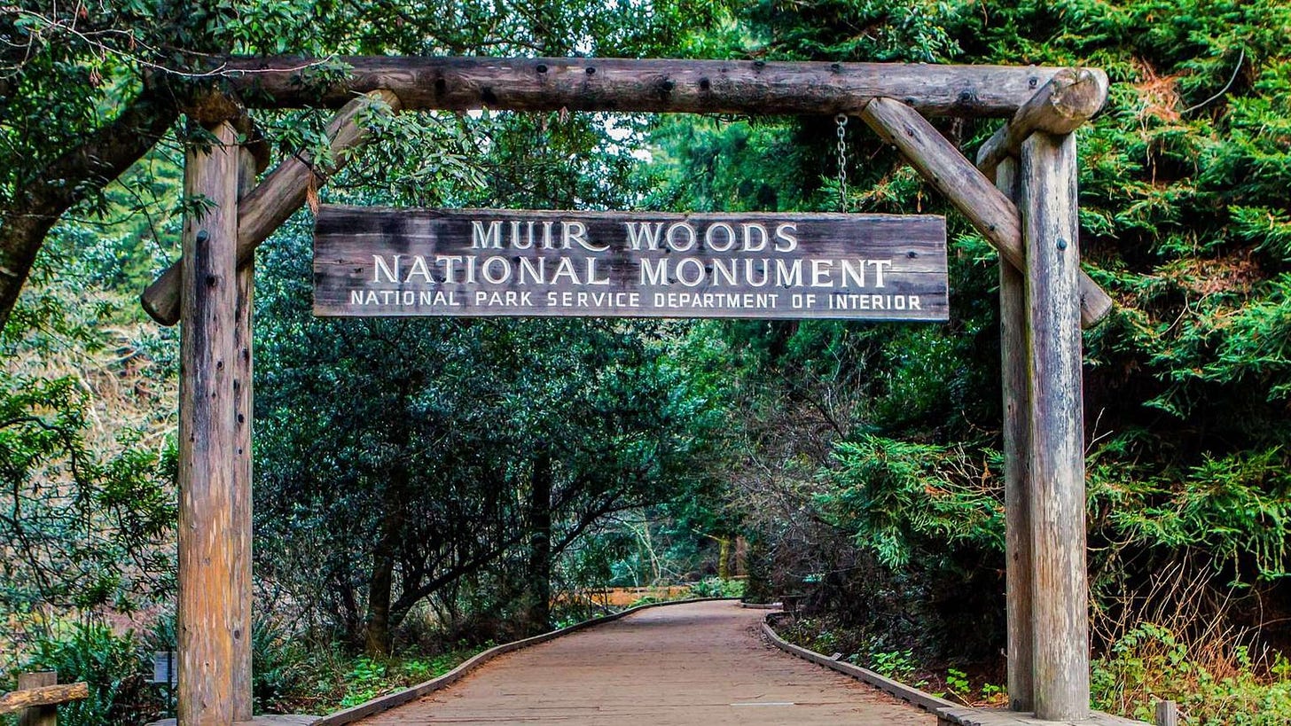 Entrance sign to Muir Woods National Monument, mounted on a rustic wooden archway surrounded by dense forest. The sign reads "Muir Woods National Monument – National Park Service Department of Interior," and marks the start of a paved path into the park.