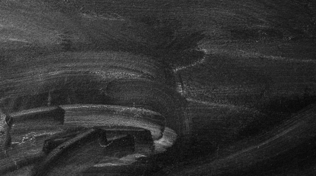 grayscale photo of a land