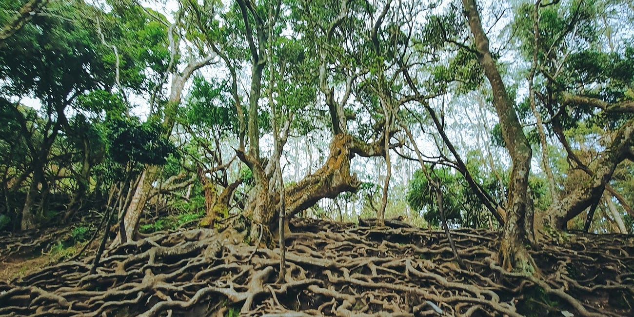 At the root of things