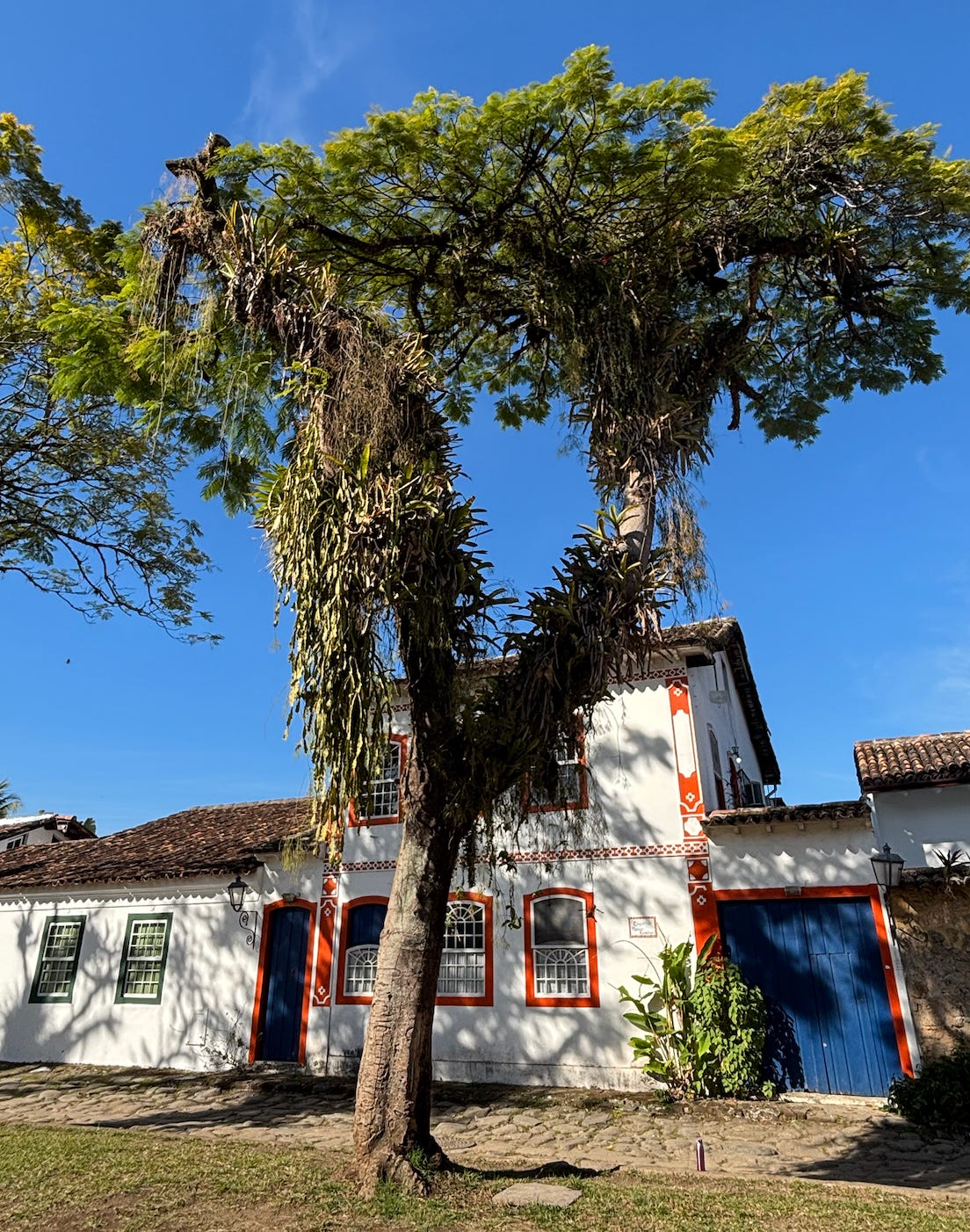 Vestido Midi para Casamento à Tarde: O Escolha Ideal para Mulheres que  Buscam Elegância e Conforto, image size:1104x1402