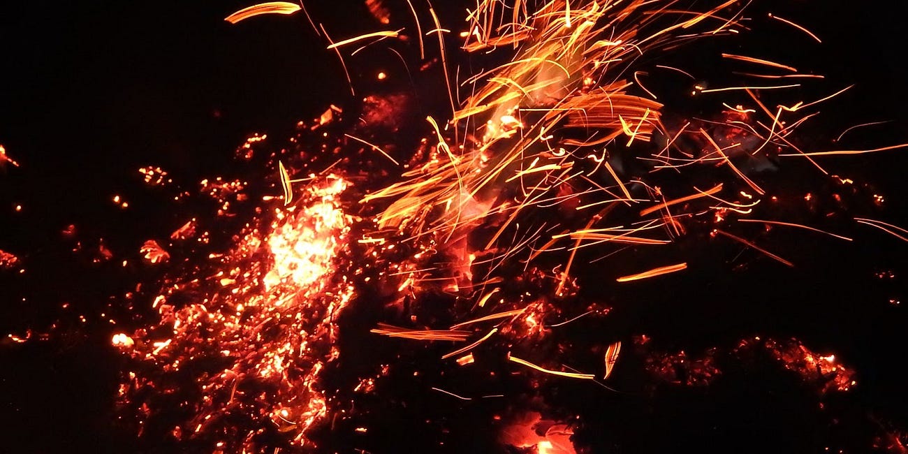 Fanning the Flame of Life with Biodynamics