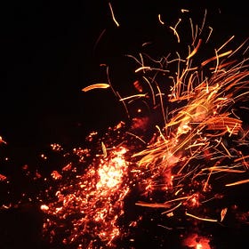 Fanning the Flame of Life with Biodynamics