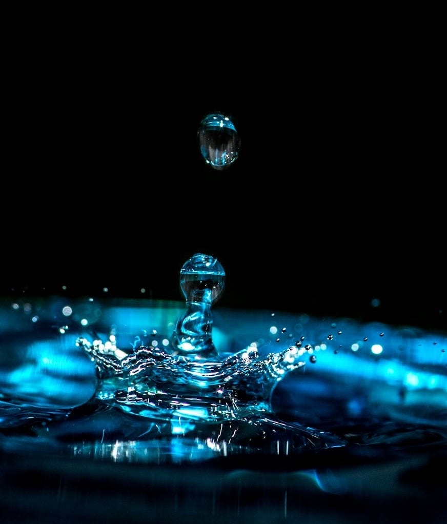 close-up photography of droplets close-up photography of droplets