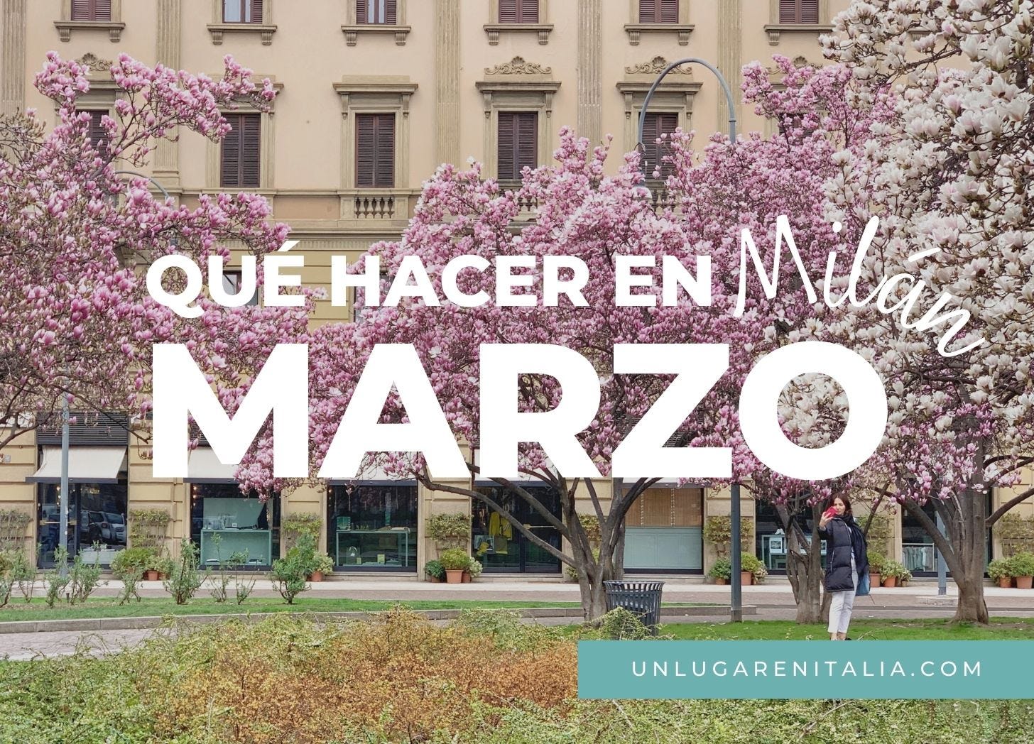 Florecimiento magnolias en Milán. Italia