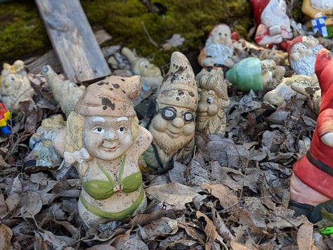 Gnomesville gnomes