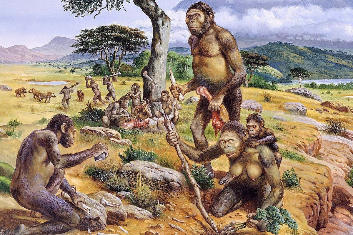 Ancient hominins may have needed midwives to help deliver babies | New  Scientist