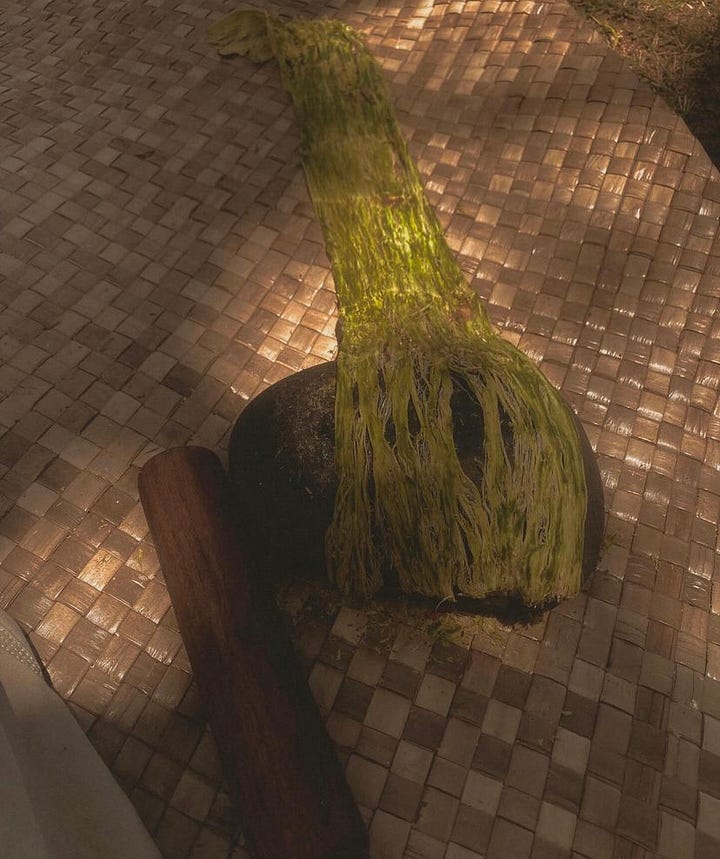 pounding a ʻulu bark with wooden mallet on a stone on a Hala mat under a tree. Tools like the shark tooth knife and Opihi shell are depicted