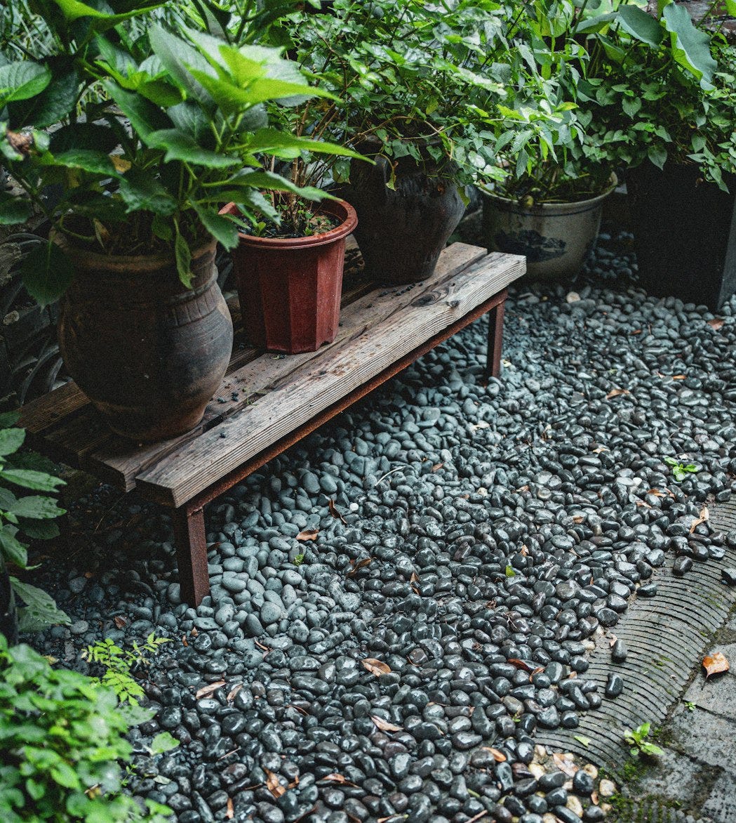 a wooden bench surrounded by potted plants