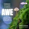 Dorchess_Awe Academy