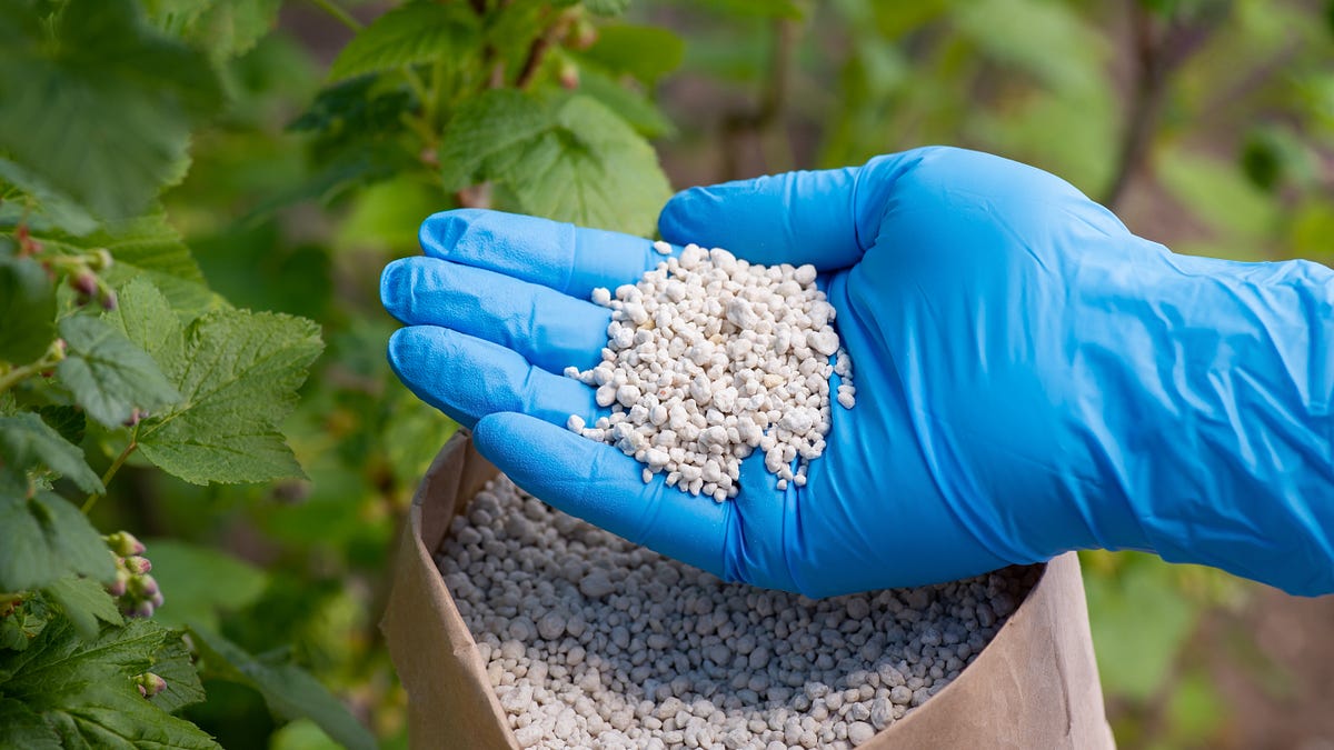 thewinepress.substack.com