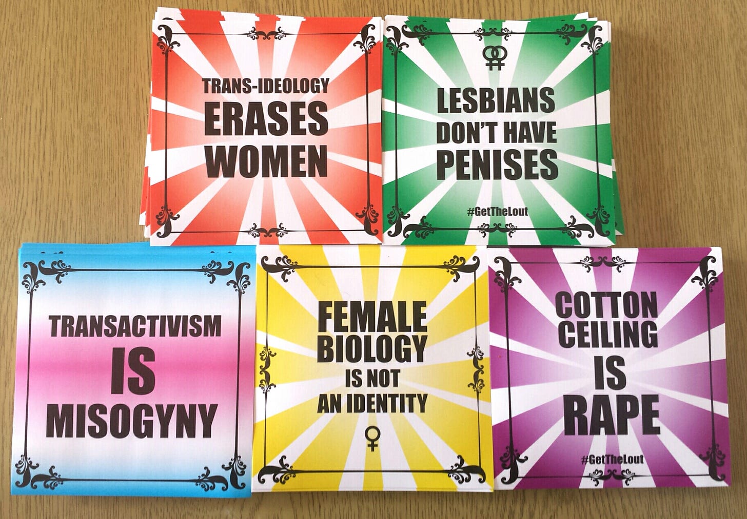 Gender Critical Activist – Sticker Pack – WILD WOMYN WORKSHOP
