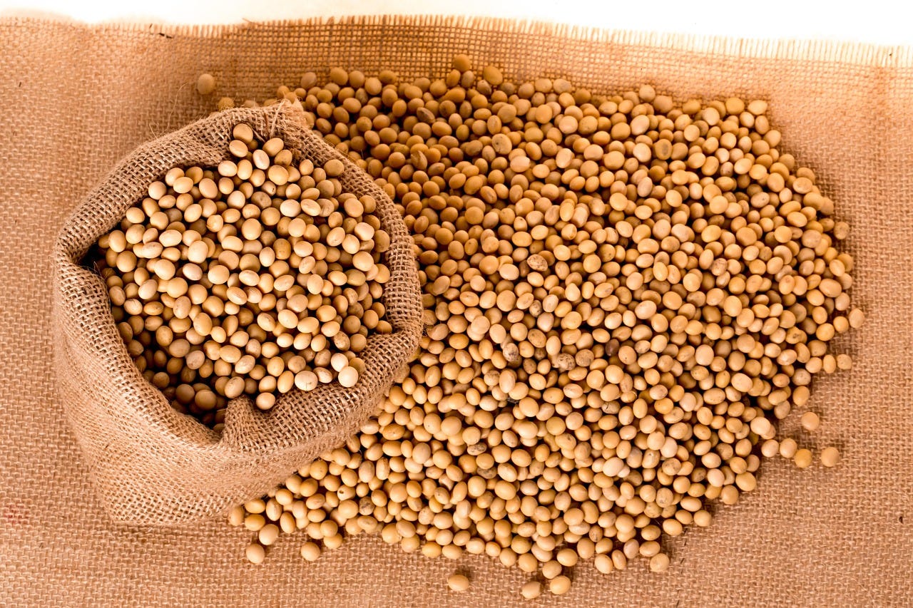 Soja Soja
