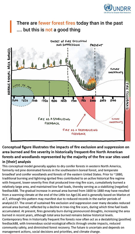Fewer Forest Fires Burn In North America Today Than In The Past...