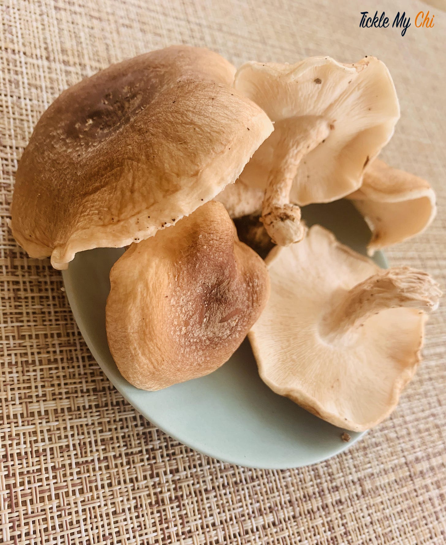 mushrooms mushrooms