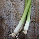 GreenOnion News