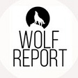 Wolf Report's avatar