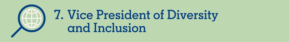 7. Vice President of Diversity and Inclusion 