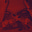 Catlyn Ladd's avatar