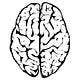 Periodic Ponderings🧠