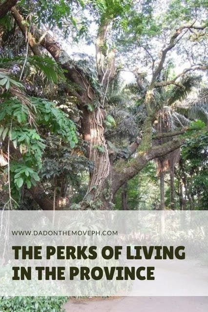 Provincial living The advantages of provincial living