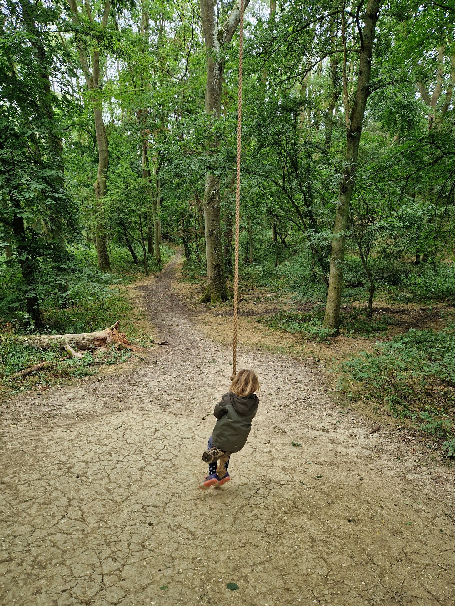 a small child on a rope swing in a forest