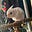 Aelyx's avatar