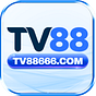Nhà cái tv88's avatar