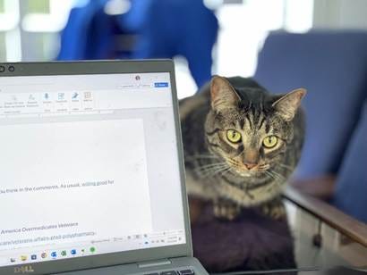 A cat sitting on a chair next to a computer

AI-generated content may be incorrect.