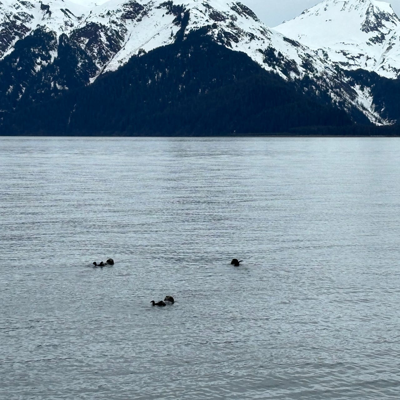 You Don't Have to Win