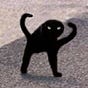 IR8NZ2's avatar