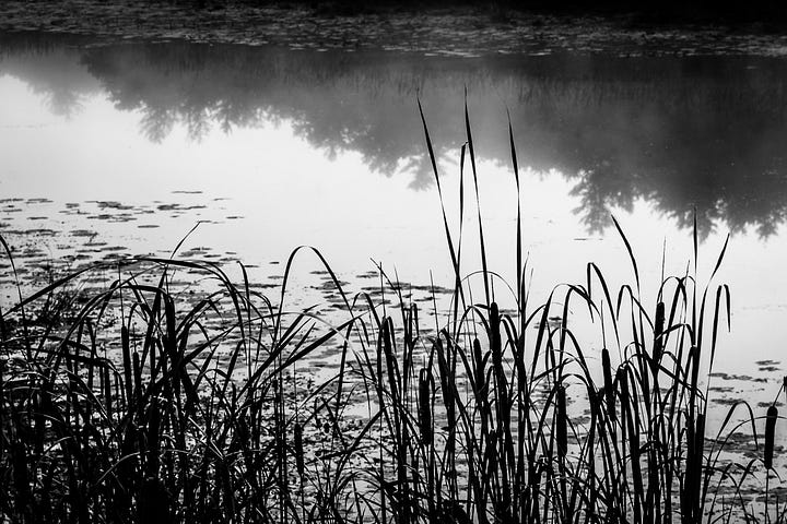 subtle and bold contrast examples