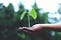 EcoGrace