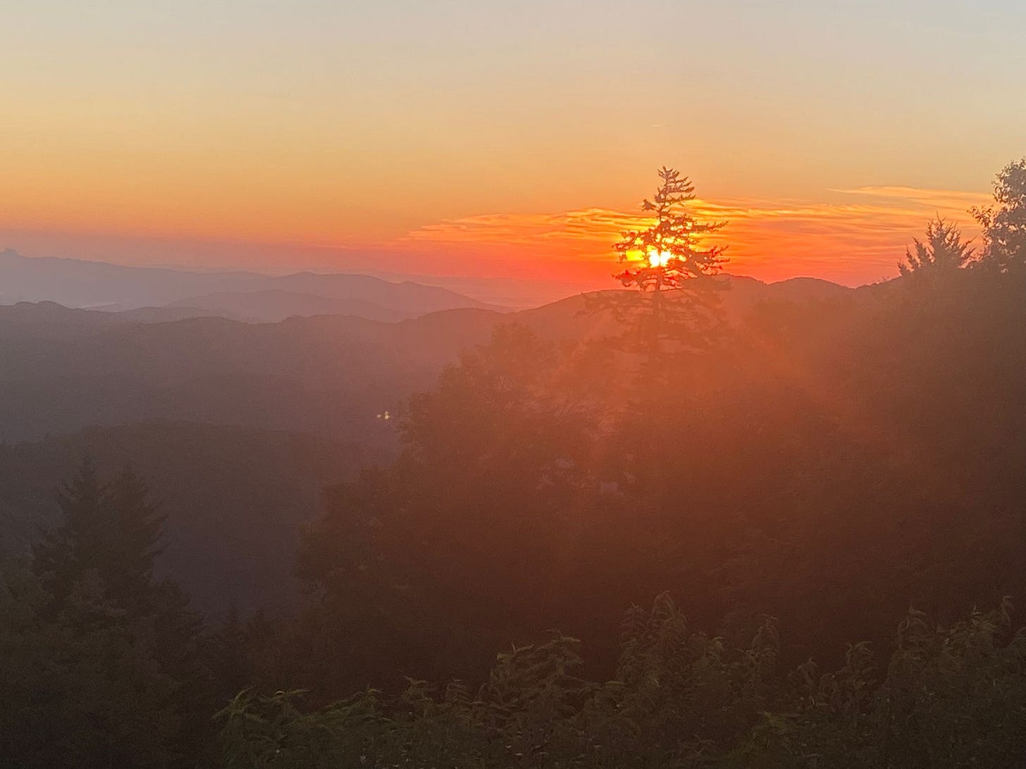 Misty sunset with view of a tree and distant hills