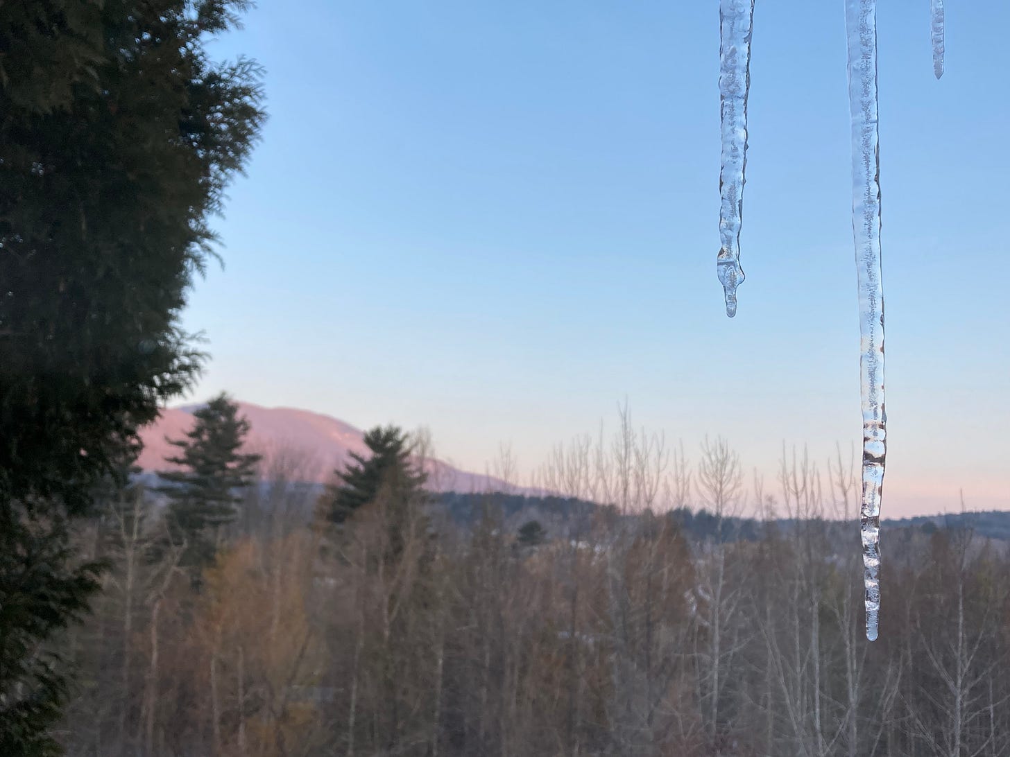 icicles in foreground, pink mountain sunrise in background icicles in foreground, pink mountain sunrise in background