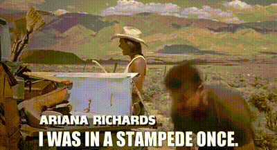 Image of I was in a stampede once.
