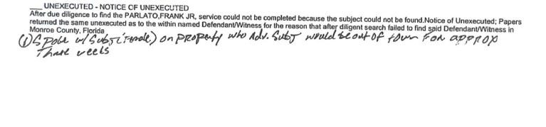 Lights Camera Perjury: Judge Sarala Nagala exposes Christopher Ambrose’s false service claim against journalist Frank Parlato.