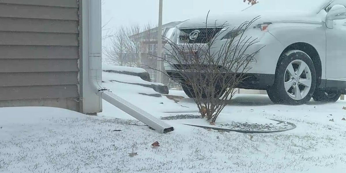 Snow Day livestream test - checkout the storm or join me for a conversation 🤓