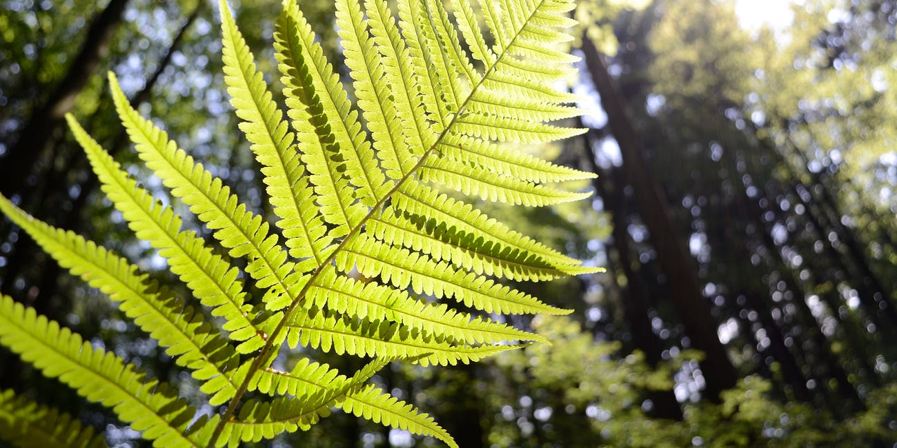 Seven unchallenged assumptions stunting your company's growth