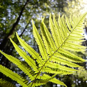 Seven unchallenged assumptions stunting your company's growth